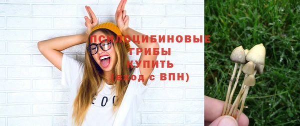 индика Абдулино