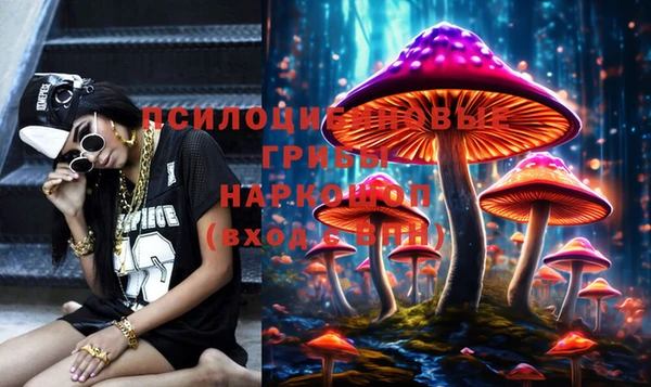 стафф Абинск