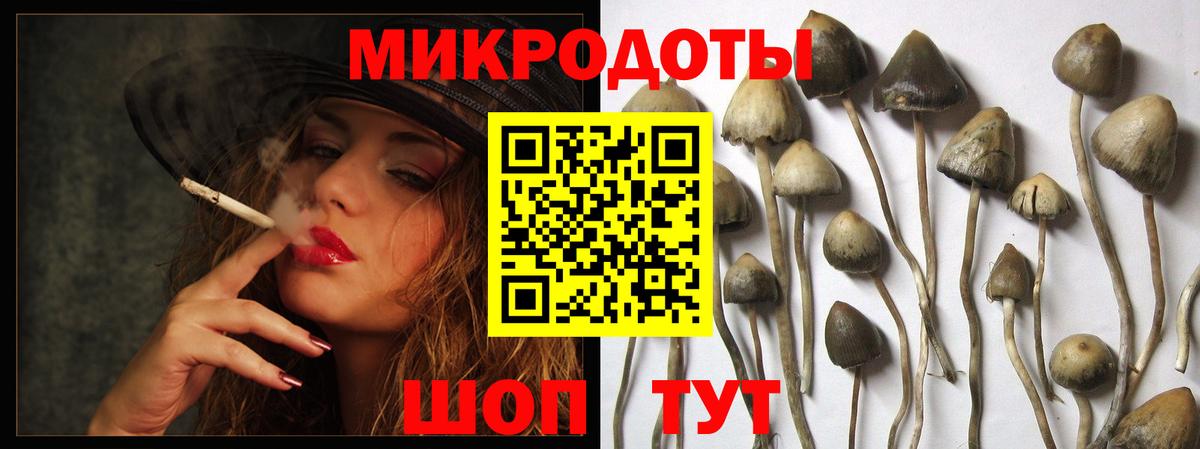 Псилоцибиновые грибы ЛСД  закладки  Псилоцибиновые грибы Psilocybine cubensis  Усть-Кут  Вход с VPN 